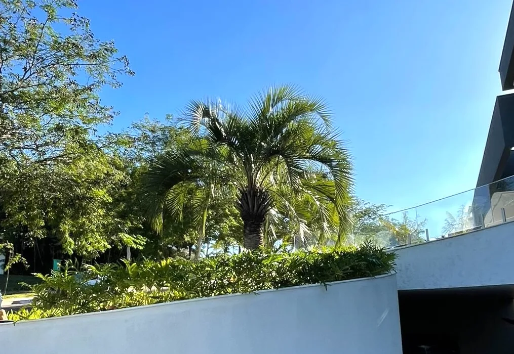 PHOTO 2025 05 21 11 49 18